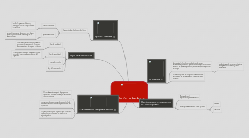 Mind Map: Regulación del hambre