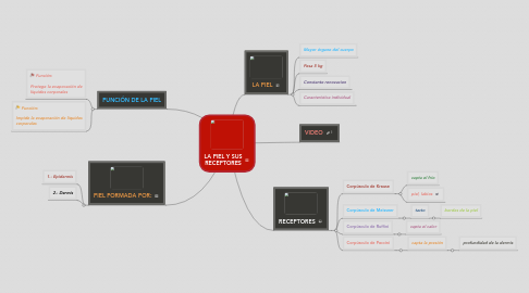 Mind Map: LA PIEL Y SUS RECEPTORES