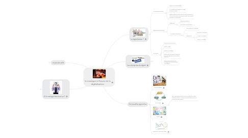 Mind Map: le manager à l'heure de la digitalisation