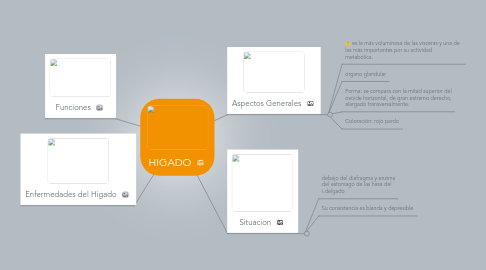 Mind Map: HIGADO