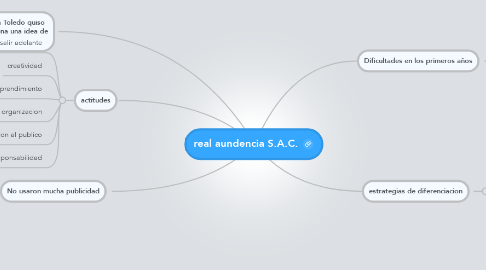 Mind Map: real aundencia S.A.C.