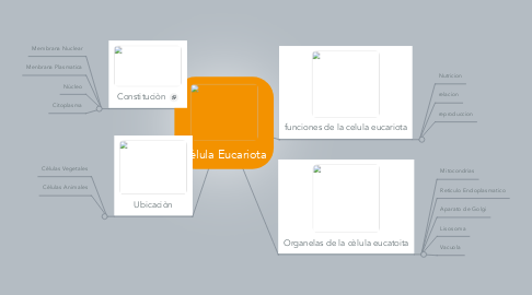 Mind Map: Cèlula Eucariota