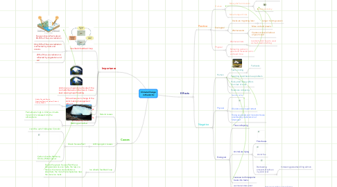Mind Map: Climate Change in the Arctic