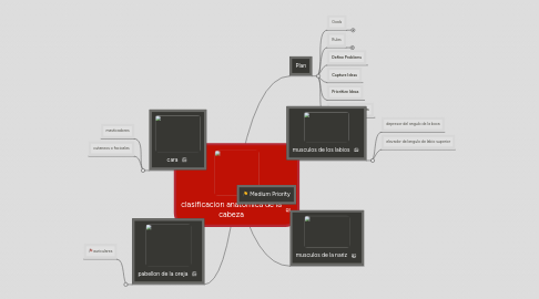 Mind Map: clasificacion anatomica de la cabeza