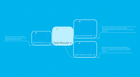 Mind Map: Tejido Muscular