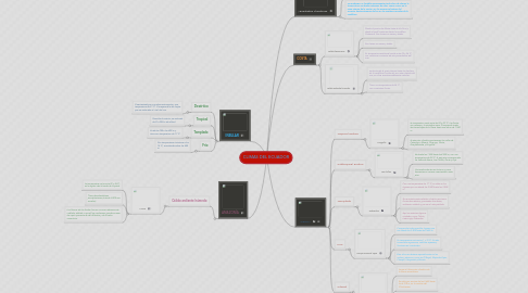 Mind Map: CLIMAS DEL ECUADOR