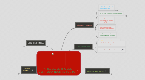 Mind Map: PARTES DEL CERBRO QUE CONTROLAN NUESTRO CUERPO