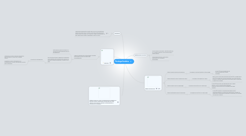 Mind Map: Psicologia Evolutiva