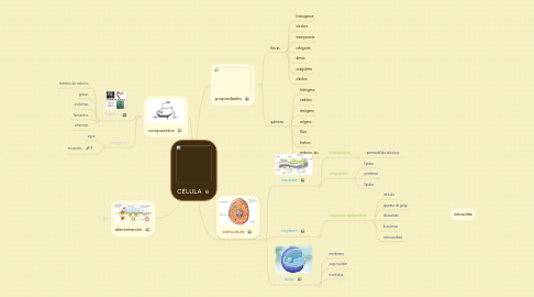 Mind Map: CÉLULA