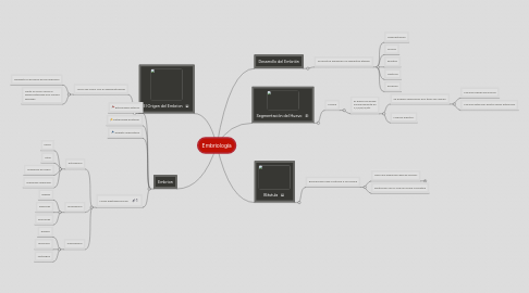 Mind Map: Embriología