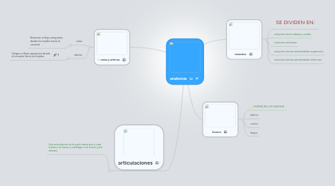 Mind Map: anatomia