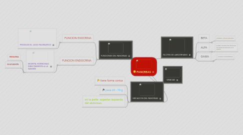 Mind Map: PANCREAS