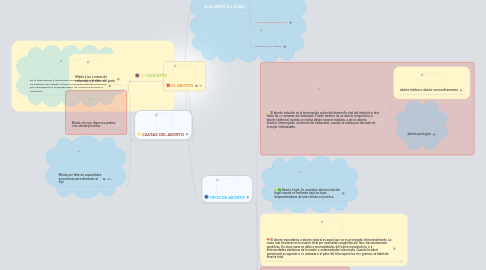 Mind Map: EL ABORTO