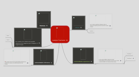 Mind Map: cuerpo humano