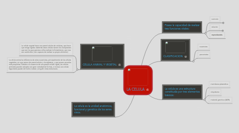 Mind Map: LA CELULA