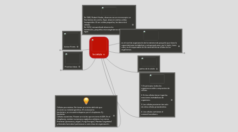 Mind Map: la celula