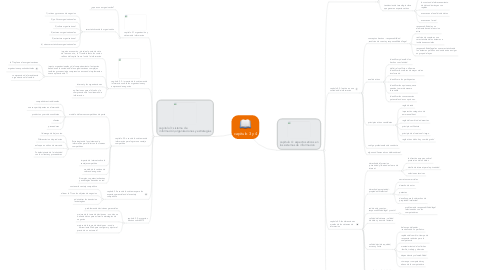 Mind Map: capitulo 3 y 4