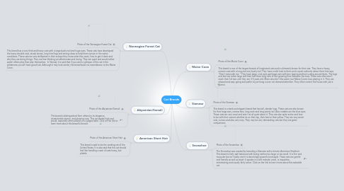 Mind Map: Cat Breeds