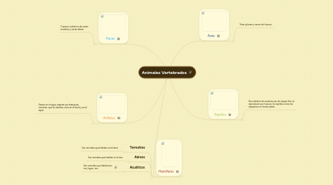 Mind Map: Animales Vertebrados