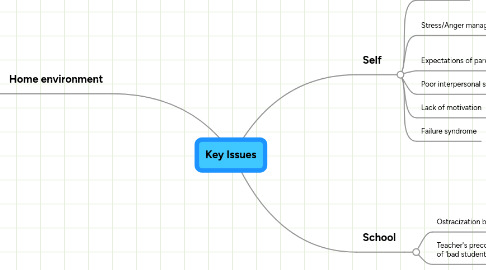 Mind Map: Key Issues