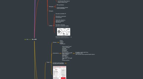 Mind Map: RI e DM2