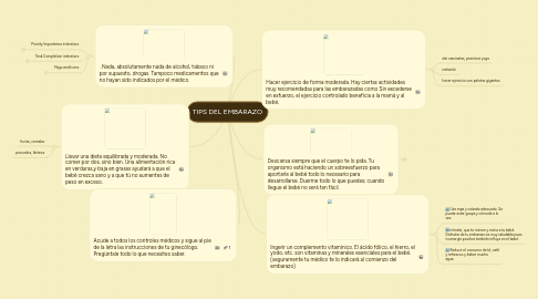 Mind Map: TIPS DEL EMBARAZO