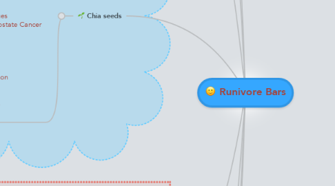 Mind Map: Runivore Bars