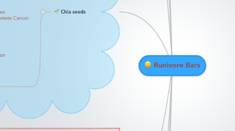 Mind Map: Runivore Bars