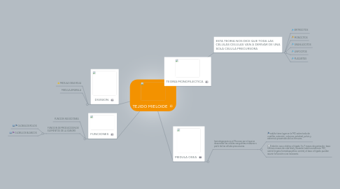 Mind Map: TEJIDO MIELOIDE