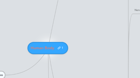 Mind Map: Human Body