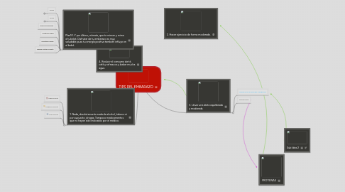 Mind Map: TIPS DEL EMBARAZO