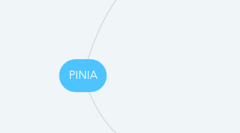 Mind Map: PINIA