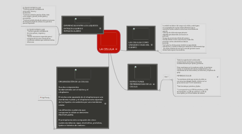 Mind Map: LA CELULA