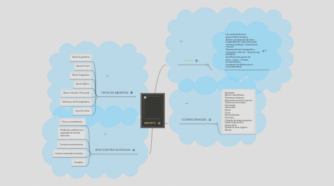 Mind Map: ABORTO