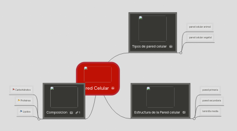 Mind Map: Pared Celular