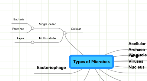 Mind Map: Types of Microbes