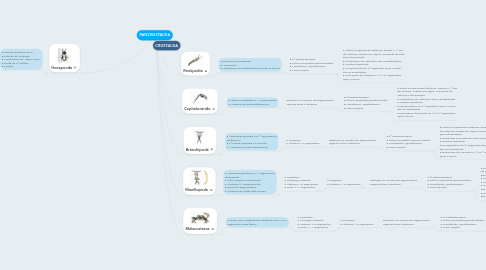 Mind Map: PANCRUSTACEA