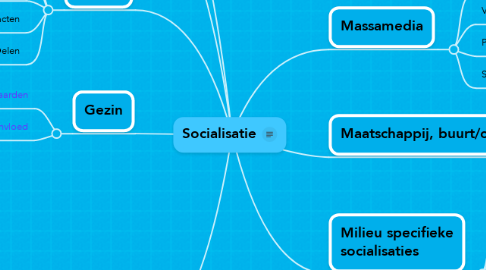 Mind Map: Socialisatie