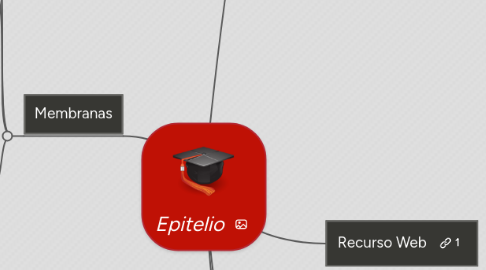 Mind Map: Epitelio