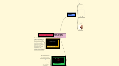 Mind Map: QUÉ ES PERCIBIR Y COMO INFLUYE EN NUESTRA CONDUCTA