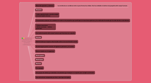 Mind Map: NIVELES DE ORGANIZACION ESTRUCTURAL Y SISTEMAS CORPORALES