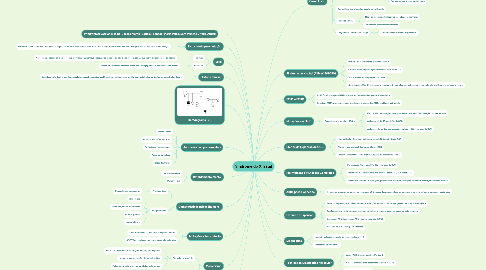 Mind Map: Síndrome do X frágil