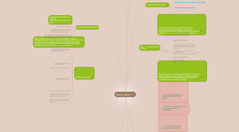 Mind Map: Hvad er religion?