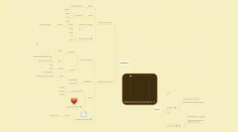 Mind Map: Sistema nervioso periférico