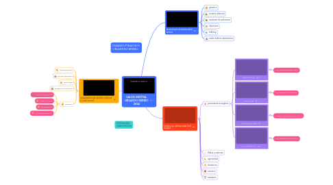 Mind Map: SALUD MENTAL ORLANDO BERRIO 2024