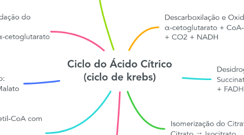 Mind Map: Ciclo do Ácido Cítrico (ciclo de krebs)