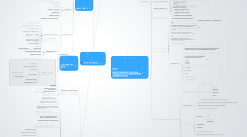 Mind Map: Circular 100 Capitulo 2