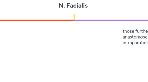 Mind Map: N. Facialis