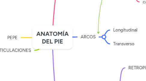 Mind Map: ANATOMÍA DEL PIE