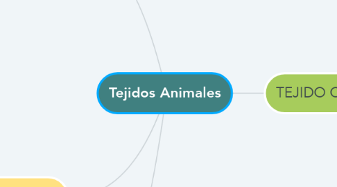 Mind Map: Tejidos Animales